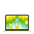13-inch MacBook Neo
