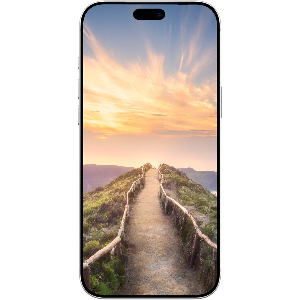 Dbramante eco-shield for iPhone 18 Pro - Privacy
