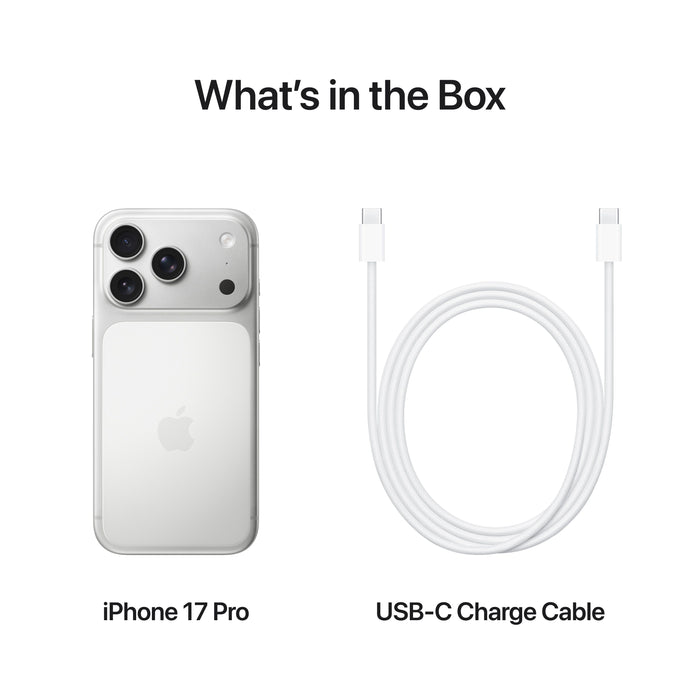 iPhone_17_Pro_Silver_PDP_Image_Position_8__en-AE