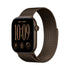 Apple Watch Series 12