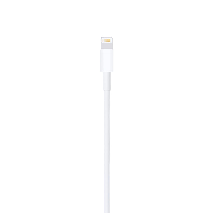 Apple Lightning to USB Cable 1M