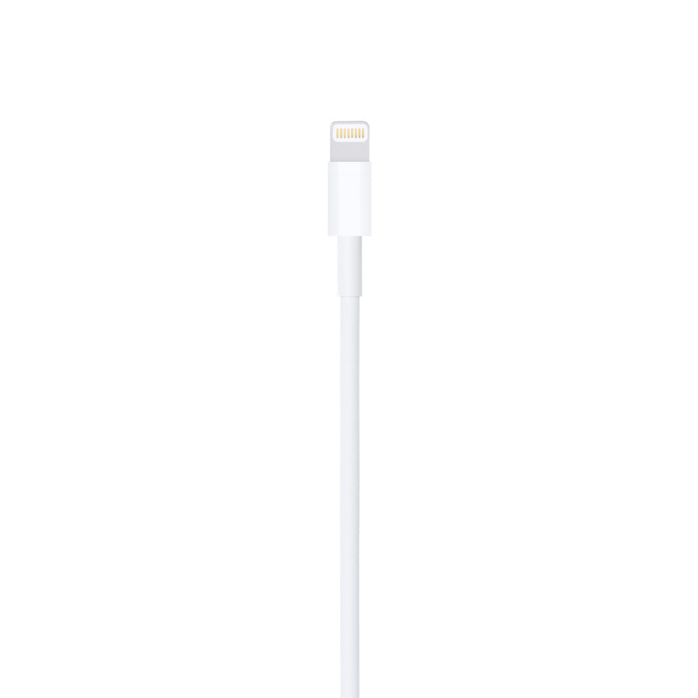 Apple Lightning to USB Cable (0.5 m)