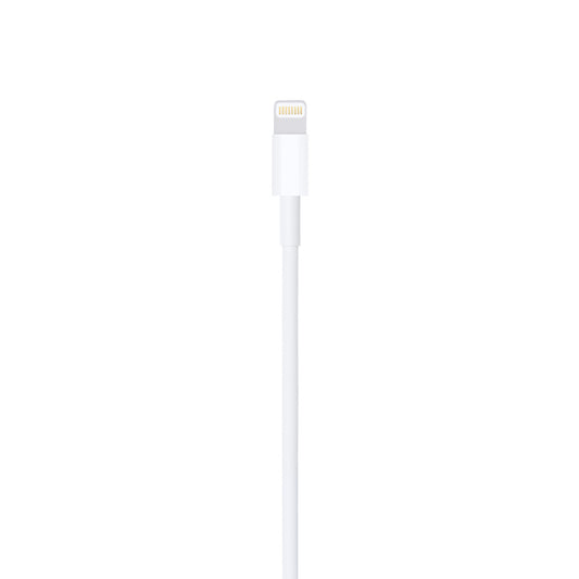 Apple Lightning to USB Cable (0.5 m)