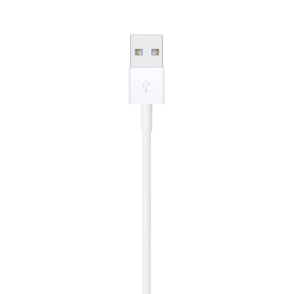 Apple Lightning to USB Cable (0.5 m)