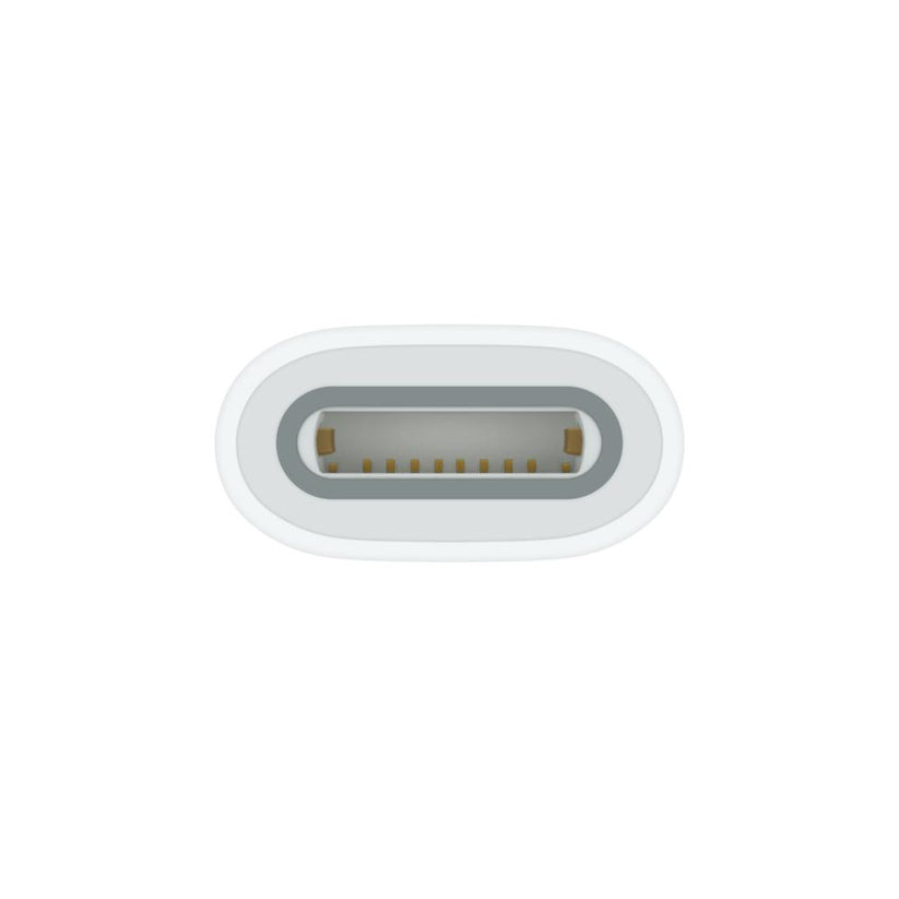 USB-C to Lightning Adapter – Aleph ألف