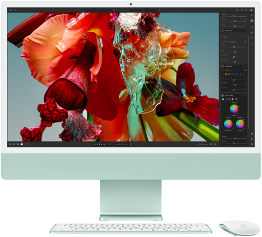 شاشة iMac تعرض زهرة مفعمة بالألوان في تطبيق Adobe Lightroom لإظهار ما تتمتع به شاشة ريتنا 4.5K من ألوان ووضوح