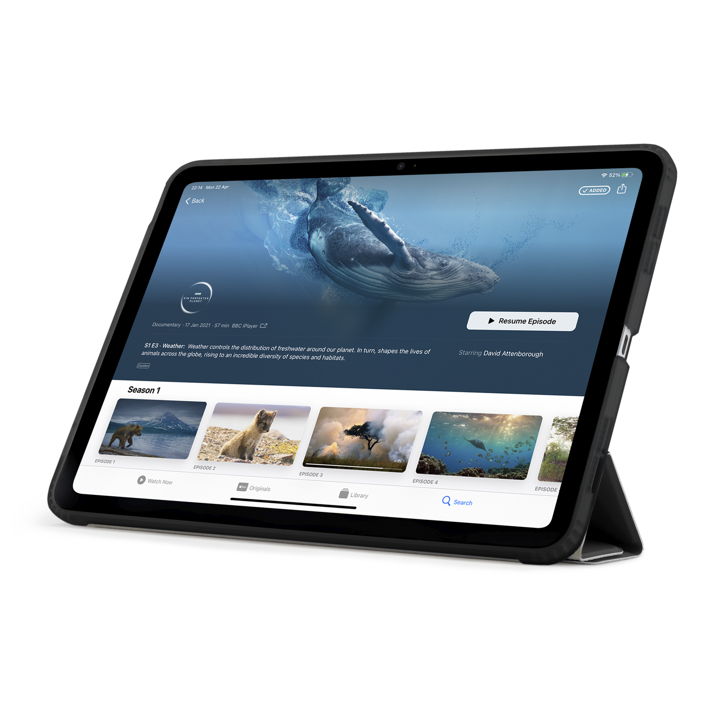 Pipetto iPad Pro 11 (M5/M4) Origami No1 Original Case - Black