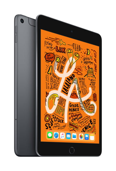 iPad mini (5th Gen) Wi-Fi + Cellular 256GB Space Grey – Aleph ألف