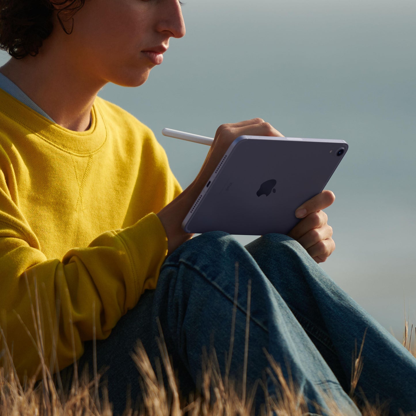 2021 iPad mini Wi-Fi + شريحة 256 GB - رمادي (الجيل السادس)